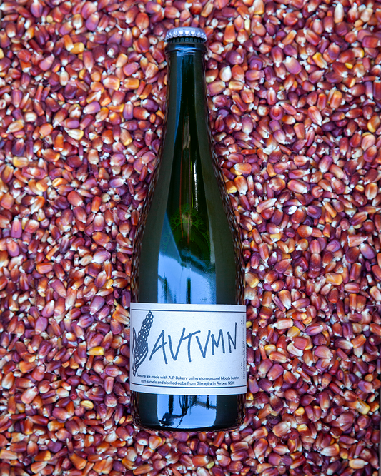 Autumn Seasonal Ale 2023