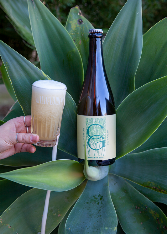 Common Ground Autumn Ale: Harvest 2019 - Wildflower x Momento Mori Collaboration