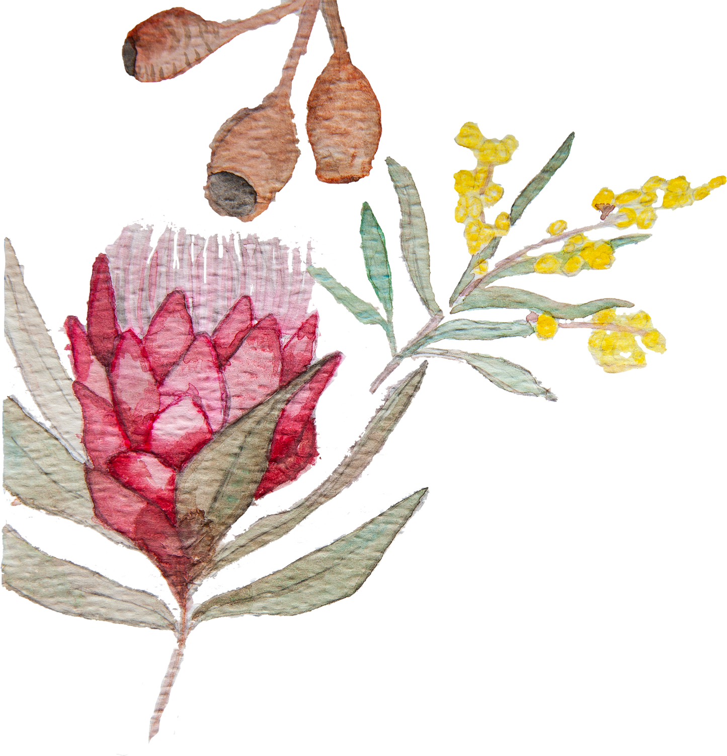 Theatre of Beer with Pete Gillespie (Garage Project) and James Smith (Crafty Pint) Sunday 22 Feb 2026