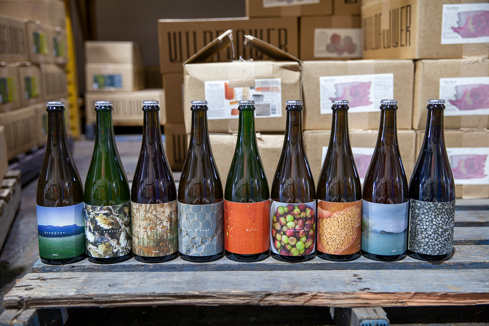 PUBLIC RELEASE - Wildflower Collective Membership 2023