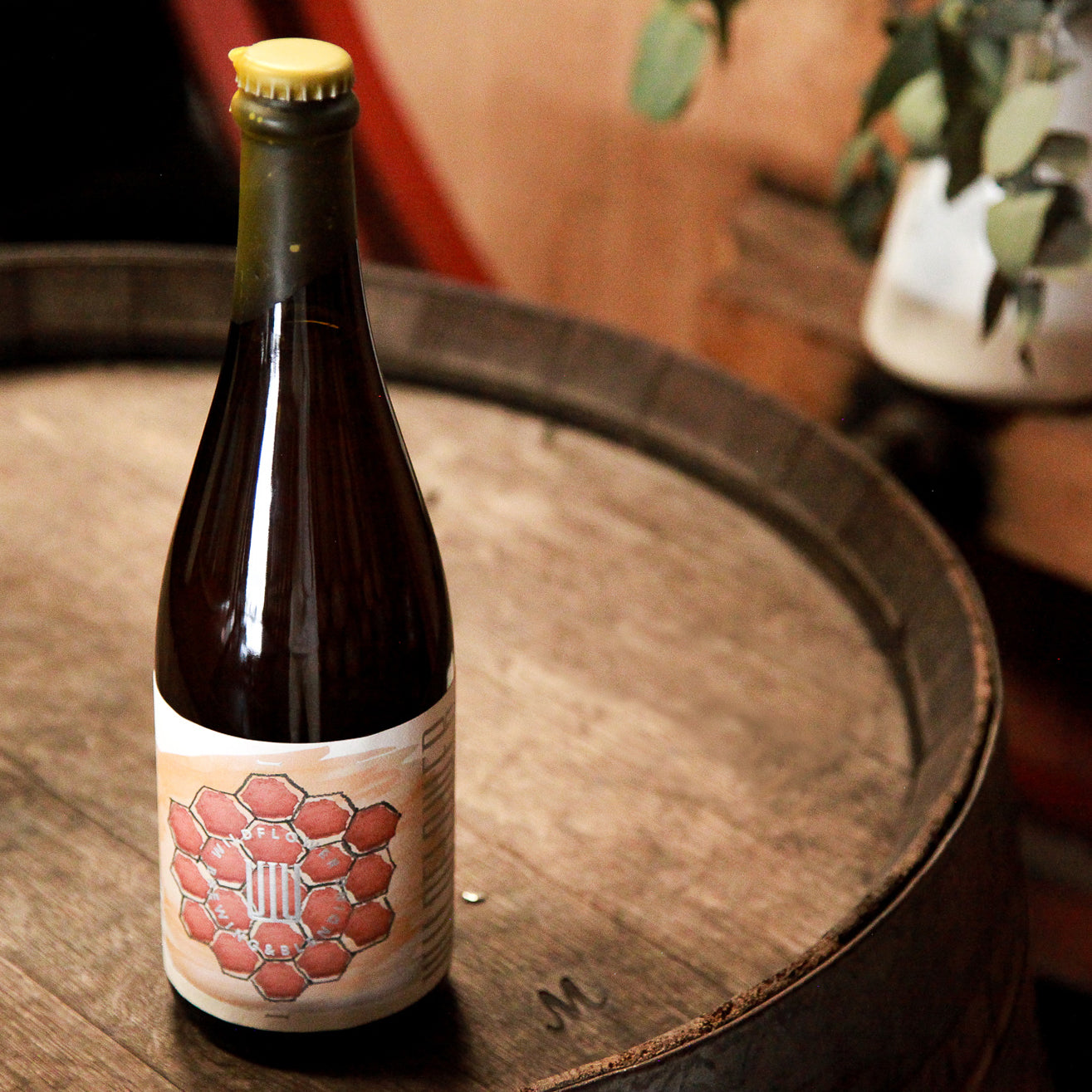 Hive: Post Brood - Malfroy's Gold Wild Honey Collaboration