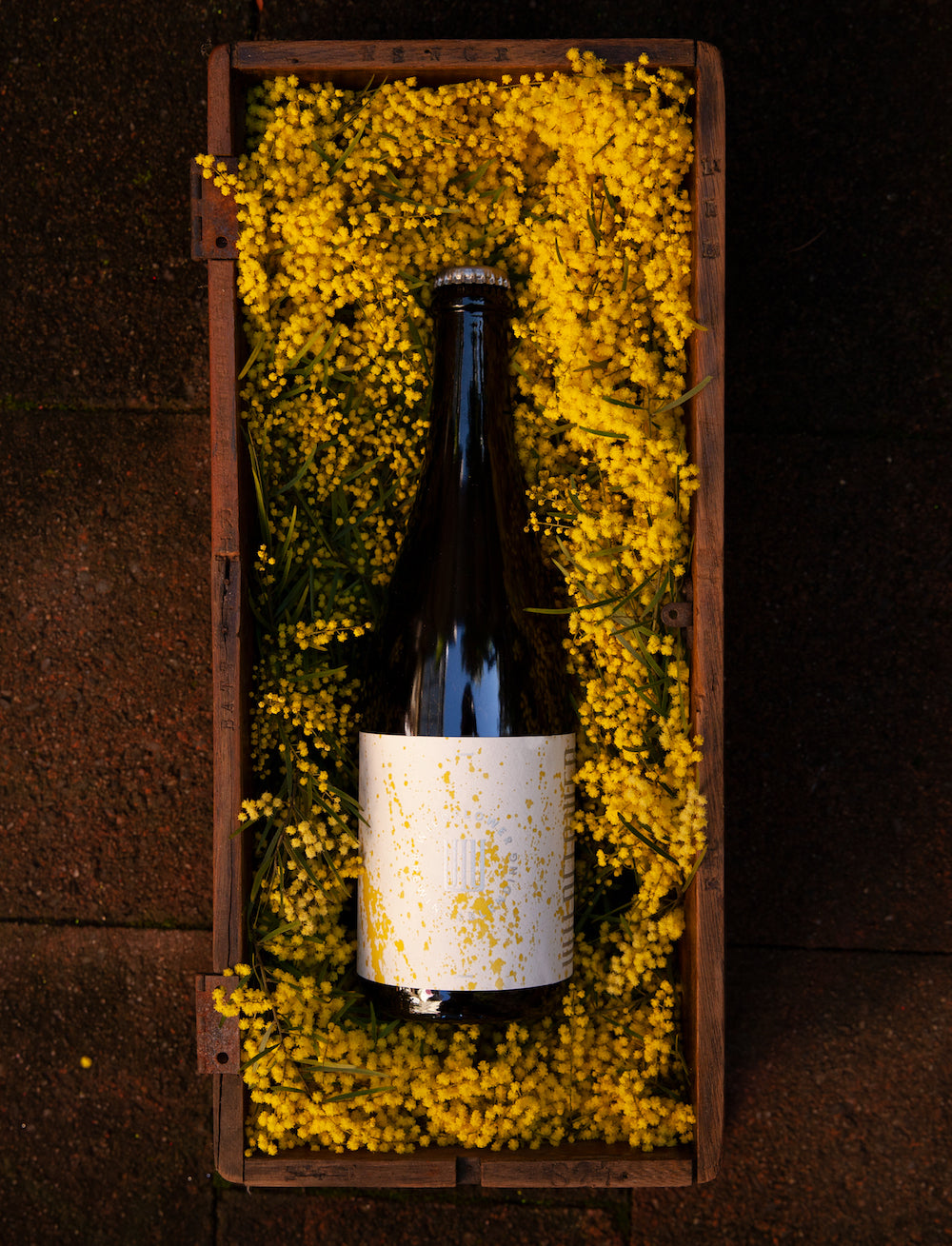 Wattle Drops 2020