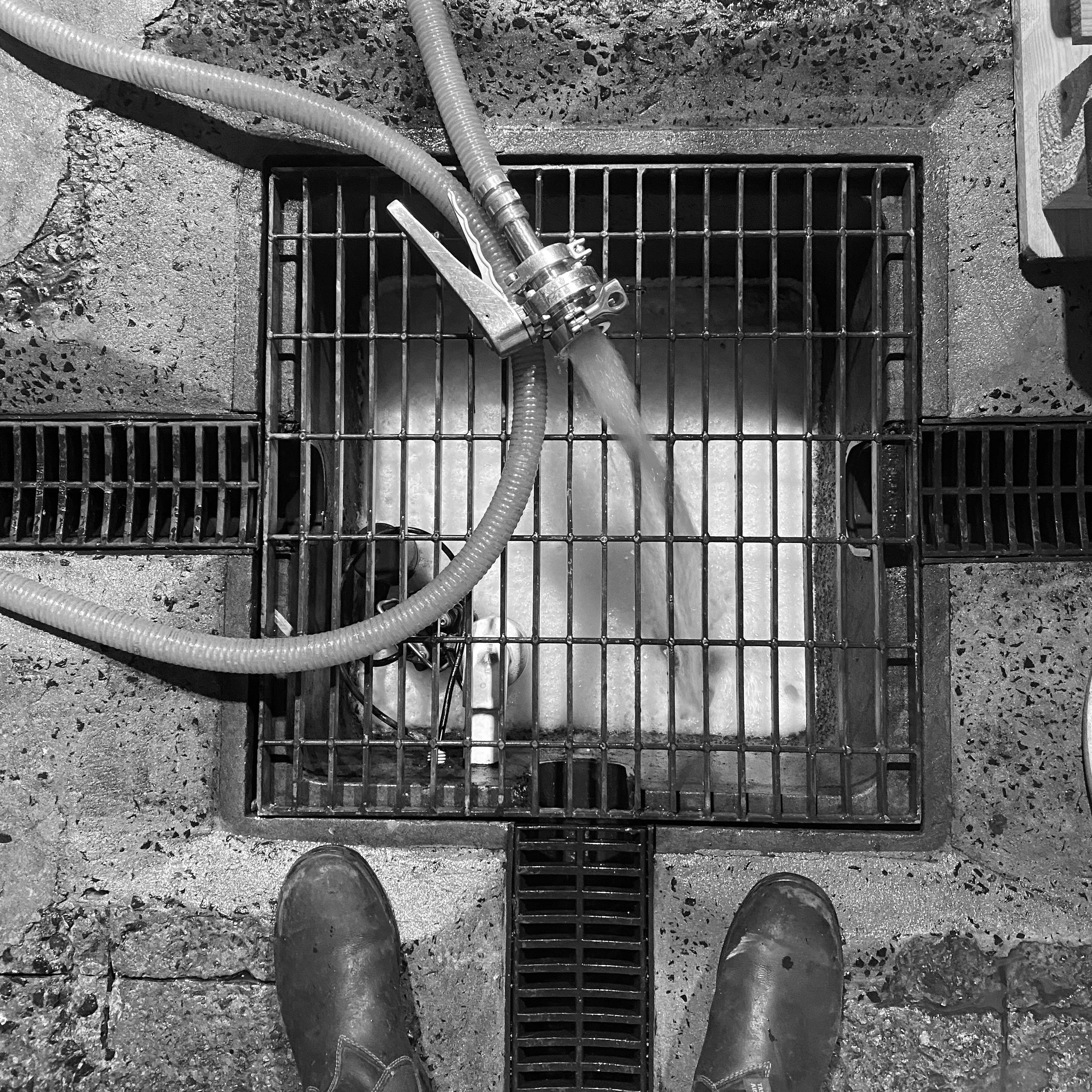 What Happened Wildflower Brewing Blending