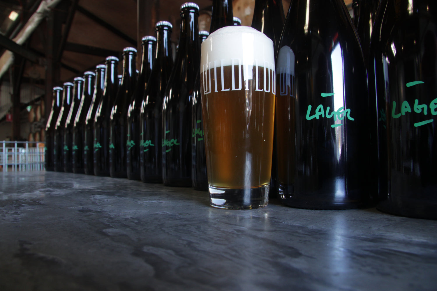 Introducing Wildflower Lager Beer Wildflower Brewing & Blending