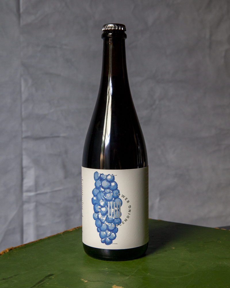 St Edward 2024: Montepulciano