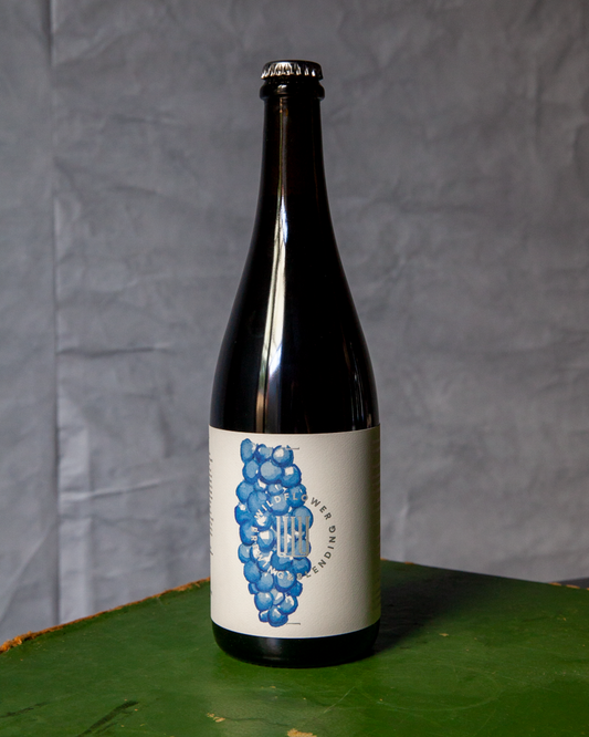 St Edward 2024: Montepulciano