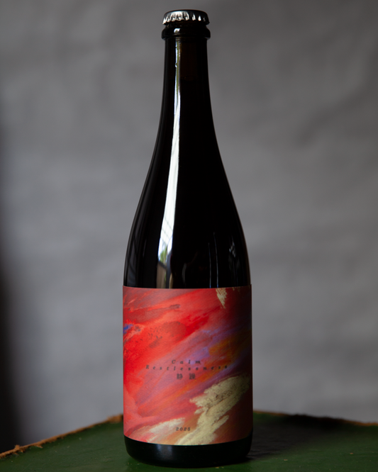 Calm Restlessness 静躁 2025