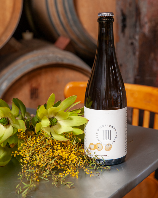 St Henry 2023: Apricot